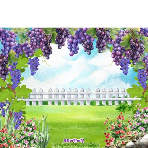 [파티붕붕] D5183 포도밭 배경 현수막 / 유치원 포도 현수막 어린이집 과수원 포도따기 체험 포토존 제작