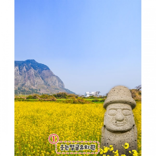 [파티붕붕]D4186 봄배경 현수막 / 제주 한라산 돌하르방 봄 유채꽃 포토존 현수막 제작