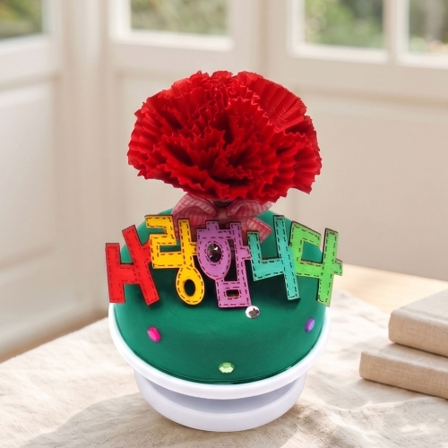 카네이션 오르골
