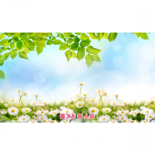 [파티붕붕]D5530 데이지 현수막 / 어린이집 민들레 현수막 유치원 봄 꽃배경 포토존 제작