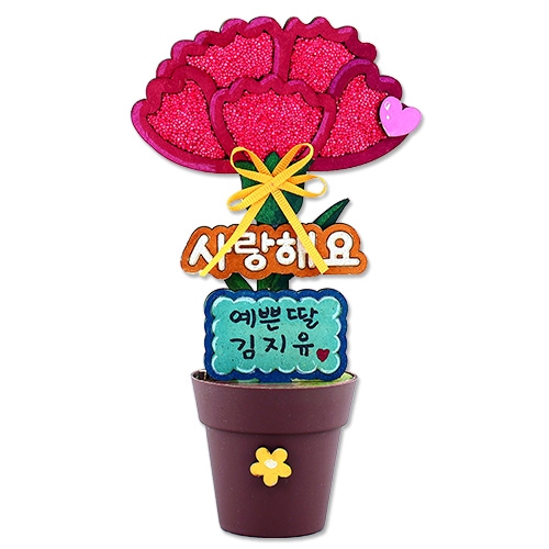 사랑듬뿍 카네이션 화분(4인용)