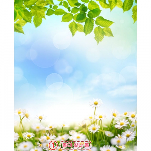 [파티붕붕]D5530 데이지 현수막 / 어린이집 민들레 현수막 유치원 봄 꽃배경 포토존 제작