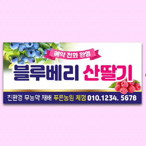 [파티붕붕] D5802 현수막 / 블루베리 산딸기 현수막 과일 판매 체험 플랜카드 제작
