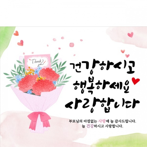 [파티붕붕] D5769 카네이션 현수막 / 부모님 어버이날 현수막 스승의날 선생님 감사 이벤트