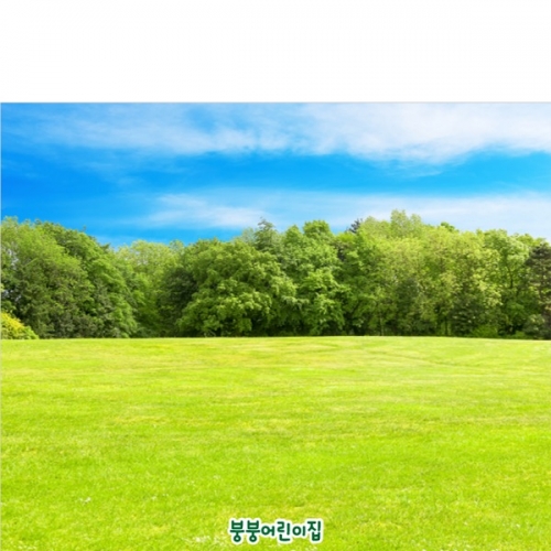 [파티붕붕]D4258 숲체험 현수막 / 어린이집 숲 잔디 배경 현수막 유치원 실사 사진 포토존