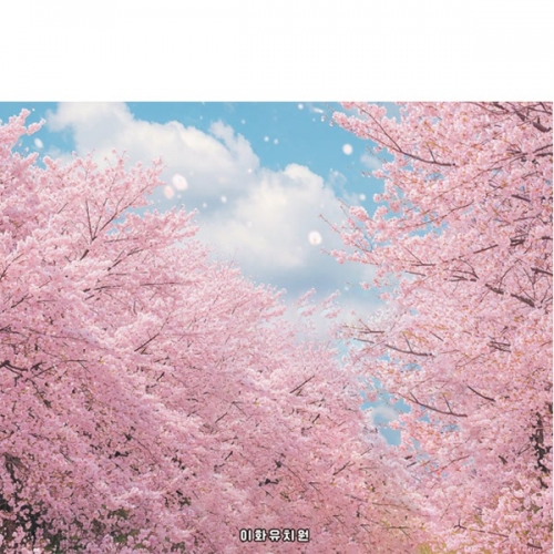 [파티붕붕]D6922 벚꽃현수막 / 꽃배경 봄벚꽃 봄배경 현수막 봄꽃 어린이집 유치원 포토존 제작