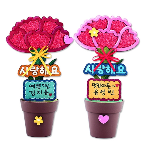 사랑듬뿍 카네이션 화분(4인용)