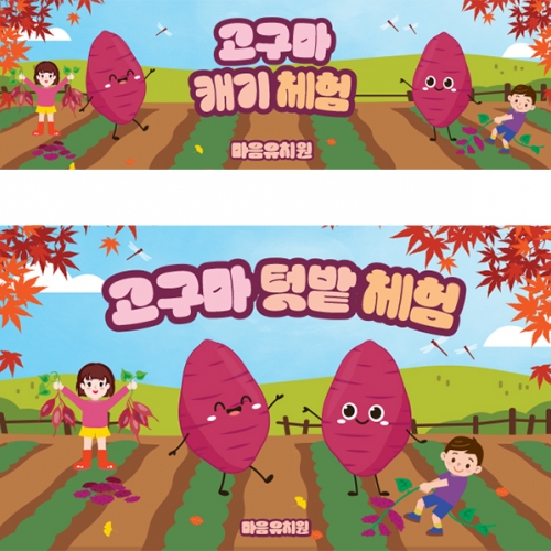 [파티붕붕] D5481 현수막 / 고구마 체험학습 현수막 고구마캐기 포토존 제작