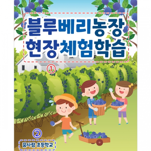 [파티붕붕] D3164 현수막 / 유치원 어린이집 블루베리 현수막 과수원 텃밭 체험 플랜카드