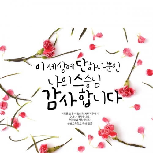 [파티붕붕] D903 현수막 / 어버이날현수막 가정의달현수막 환갑현수막 칠순현수막 플랜카드 선물