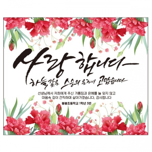 [파티붕붕] D2329 현수막 / 초등학교 중학교 스승의날 현수막 이벤트 감사 배너 선생님 선물