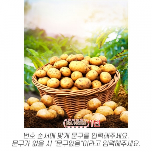 [파티붕붕] D7088 감자 현수막 / 유치원 감자밭 현수막 어린이집 오감 야채놀이 포토존 제작