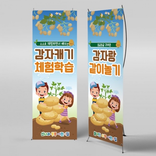 [파티붕붕] X배너 3237 / 감자캐기 현수막 어린이집 유치원 감자 텃밭 배너