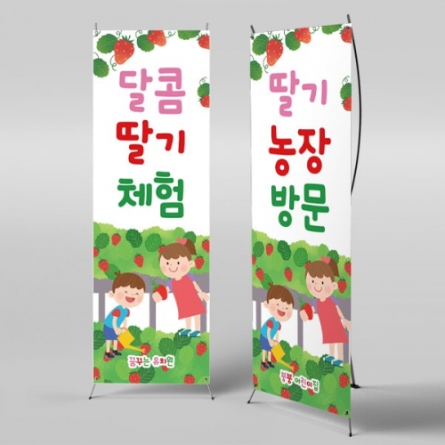 [파티붕붕] X배너 2796 / 딸기 현수막 유치원 어린이집 봄 딸기따기 체험장 농장 배너