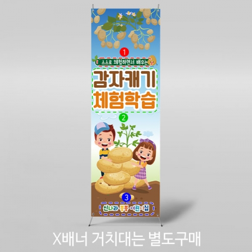 [파티붕붕] X배너 3237 / 감자캐기 현수막 어린이집 유치원 감자 텃밭 배너