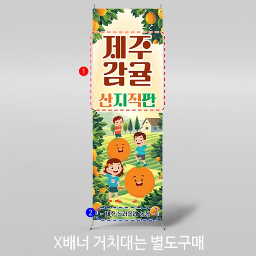 [파티붕붕] X배너 3167 / 유치원 어린이집 오렌지 한라봉 천혜향 귤 오감 체험학습 현수막
