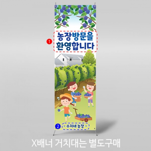 [파티붕붕] X배너 3164 / 유치원 어린이집 블루베리 배너 과수원 텃밭 체험 현수막