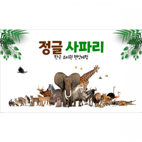 [파티붕붕]  D4369 동물 현수막 / 동물원 현수막 어린이집 유치원 정글 숲속배경 포토존