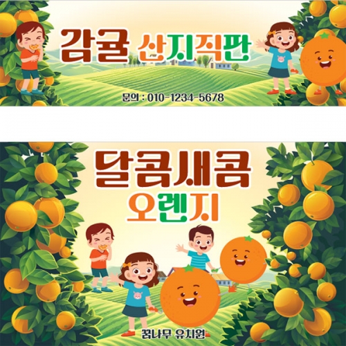[파티붕붕] D3167 촉감놀이 현수막 / 유치원 어린이집 오렌지 한라봉 천혜향 귤 오감 체험학습 현수막