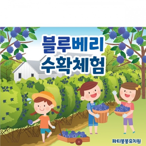 [파티붕붕] D3164 현수막 / 유치원 어린이집 블루베리 현수막 과수원 텃밭 체험 플랜카드