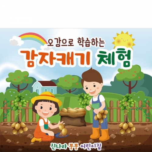 [파티붕붕] D3238 감자 현수막 / 유치원 어린이집 텃밭 감자캐기 체험 현수막 제작