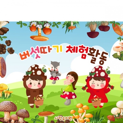 [파티붕붕] D2914 현수막 / 유치원 어린이집 버섯 현수막 체험활동 행사 플랜카드
