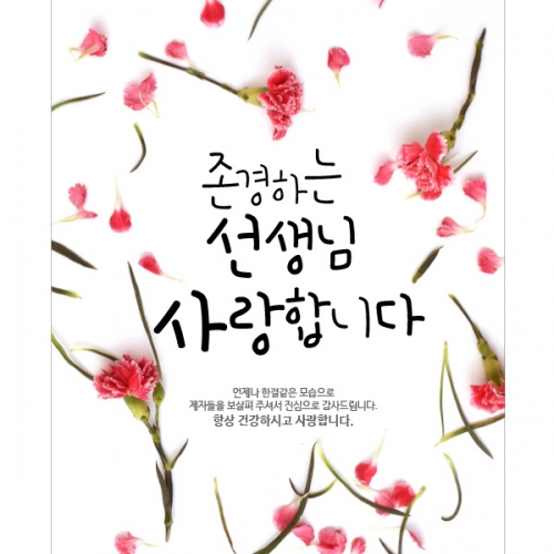 [파티붕붕] D903 현수막 / 어버이날현수막 가정의달현수막 환갑현수막 칠순현수막 플랜카드 선물