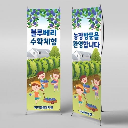 [파티붕붕] X배너 3164 / 유치원 어린이집 블루베리 배너 과수원 텃밭 체험 현수막