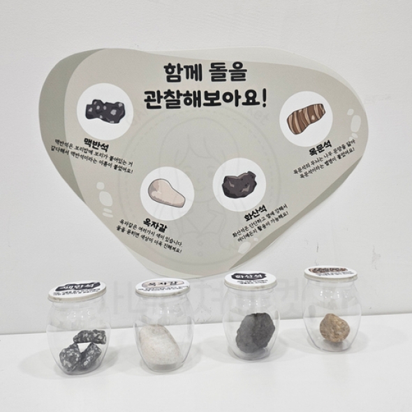 돌 관찰병