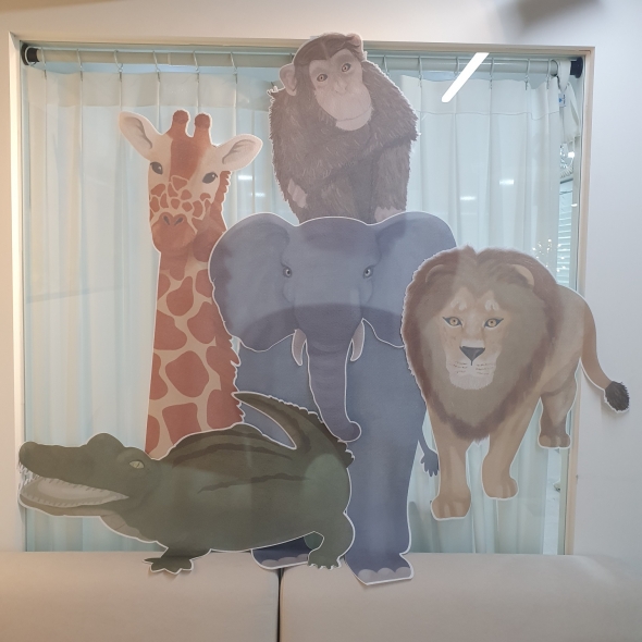 사파리 문꾸미기