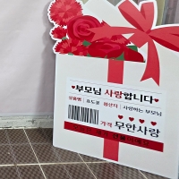 어버이날 파티세트 6 / 유치원 가정의달 현수막 어린이집 카네이션 판넬 페이퍼플라워 포토존