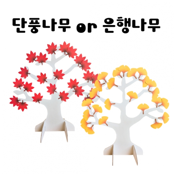 [칼라노리] 단풍나무 또는 은행나무