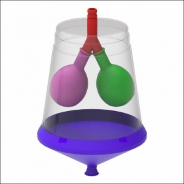 뉴 간이 허파(폐) 모형 만들기(1인용/5인용)
