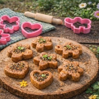 DIY 조물조물 씨드볼 쿠키 만들기 4종 / 식물선택 가드닝 촉감놀이 반려식물 에코기프트