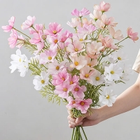 가을 코스모스 꽃
