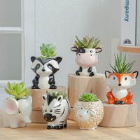 DIY 다육이 미니 동물 석고 화분 꾸미기 + 6색 아크릴 물감 세트