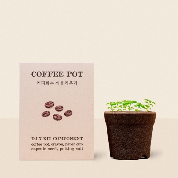 싱글룸 커피박 화분 식물키우기 친환경 체험키트 (화분1입)