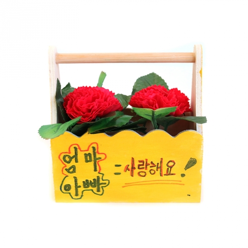 더키 카네이션 구름상자(2명용)
