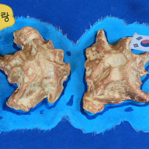 [반제품] 종이 독도 모형 만들기
