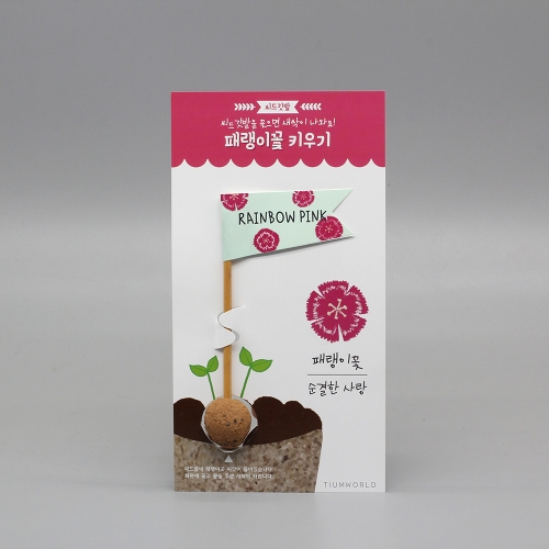 씨드깃발_패랭이꽃