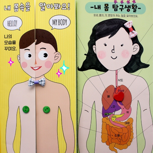 [북아트] 내 몸 탐구생활