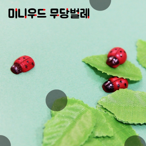 미니우드무당벌레_50p