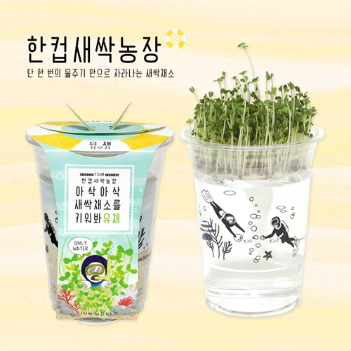 한컵새싹농장_유채키우기