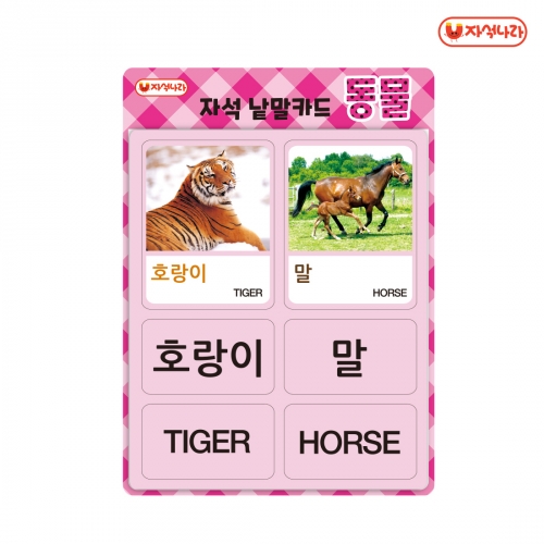[자석나라] 한글&영어 자석 낱말카드(3종/택1) /동물/과일/탈것/교통기관