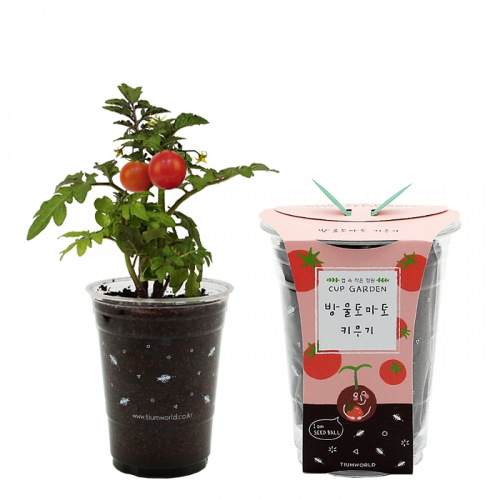 컵가든_방울토마토 키우기세트
