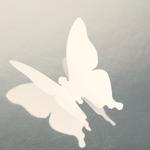 Deco Sticker-나비정원