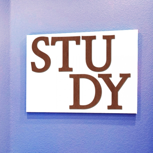우드스티커- STUDY (컬러완제) 레터링 글자 W474 입체
