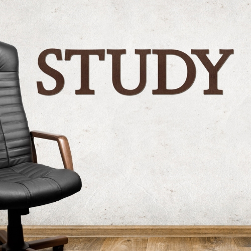 우드스티커- STUDY (컬러완제) 레터링 글자 W474 입체