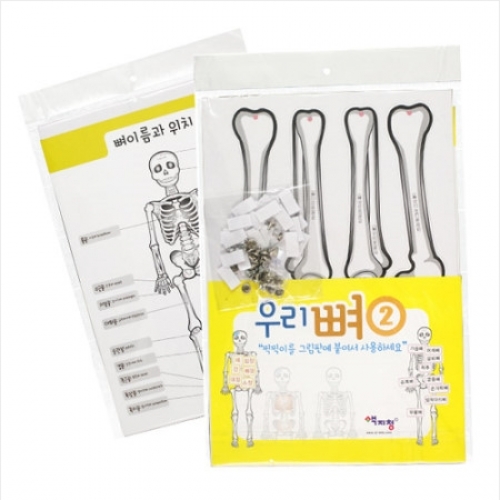 우리뼈2 (뼈와 내장기관)