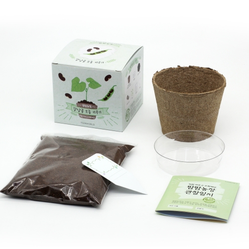 팜팜농장_강낭콩 키우기